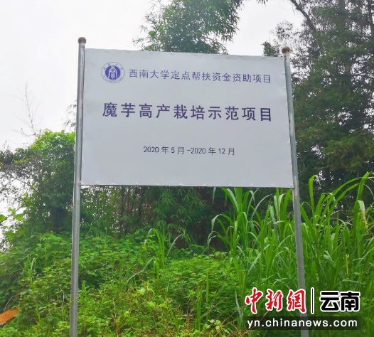 微信图片_20201125161906.png