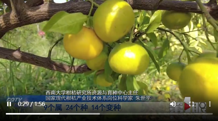 微信图片_20220907224645.png